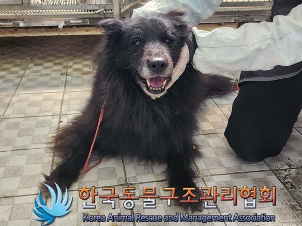 종료(반환) 벨지안…